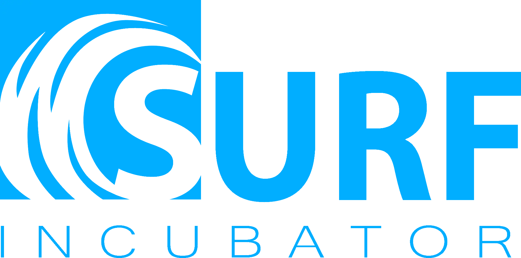 SURF Incubator